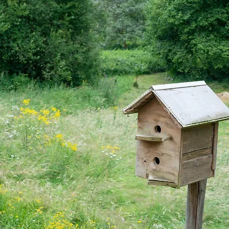 Sequoia - Et Sauna * Ban-sur-Meurthe-Clefcy