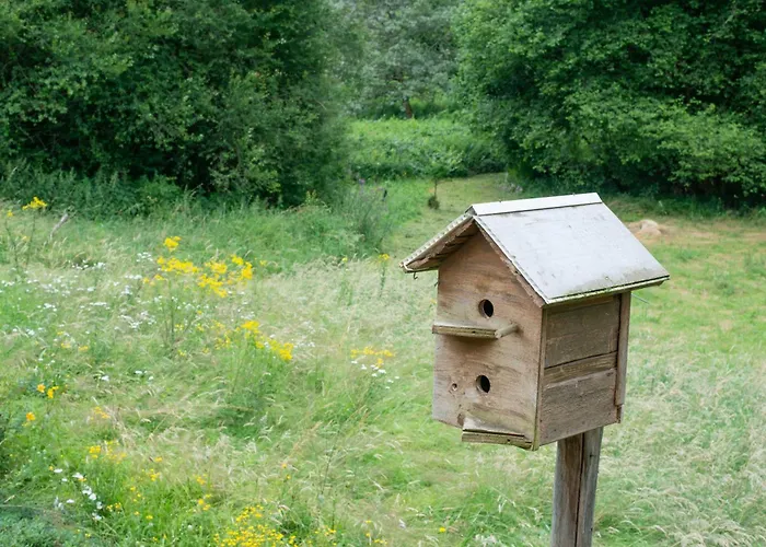 Sequoia - Et Sauna * Ban-sur-Meurthe-Clefcy